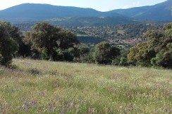 403_fincas-en-venta-11