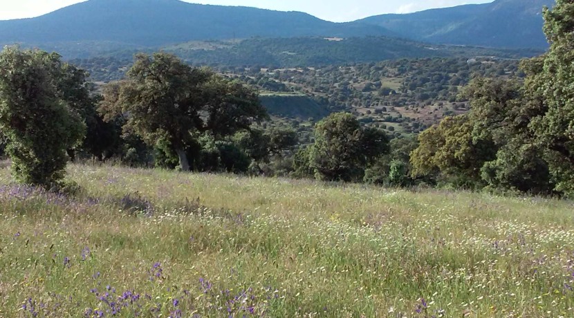 403_fincas-en-venta-11