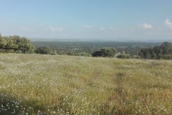403_fincas-en-venta-12