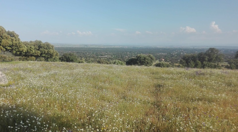 403_fincas-en-venta-12