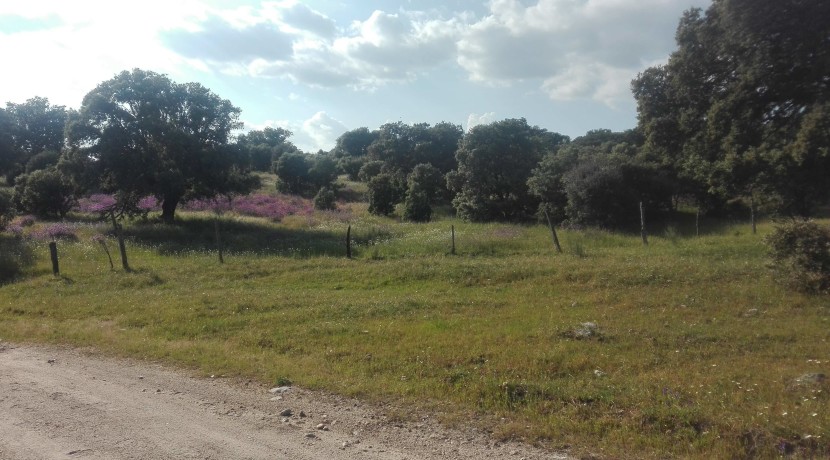 403_fincas-en-venta (2)