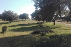 403_fincas-en-venta