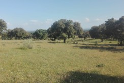 403_fincas-en-venta-3