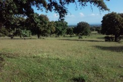 403_fincas-en-venta-4