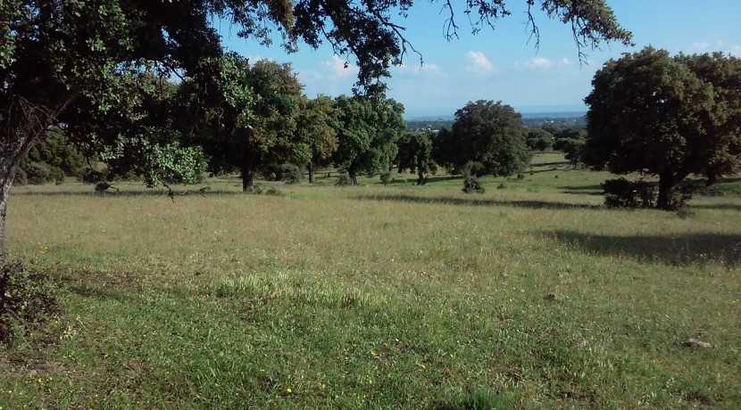 403_fincas-en-venta-4