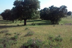 403_fincas-en-venta-5
