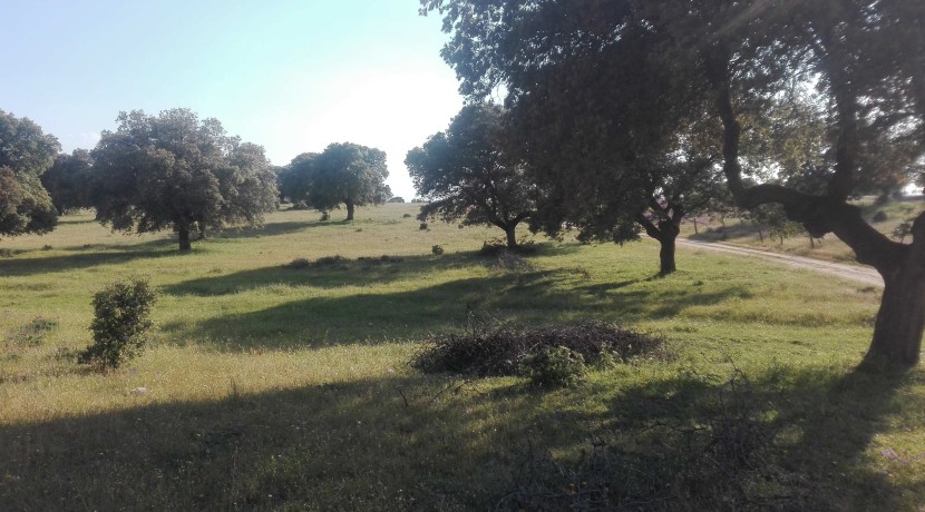 403_fincas-en-venta
