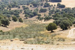 406_fincas-en-venta-004