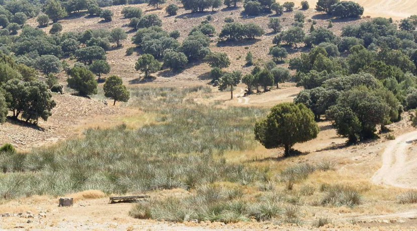406_fincas-en-venta-004
