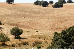 406_fincas-en-venta-006