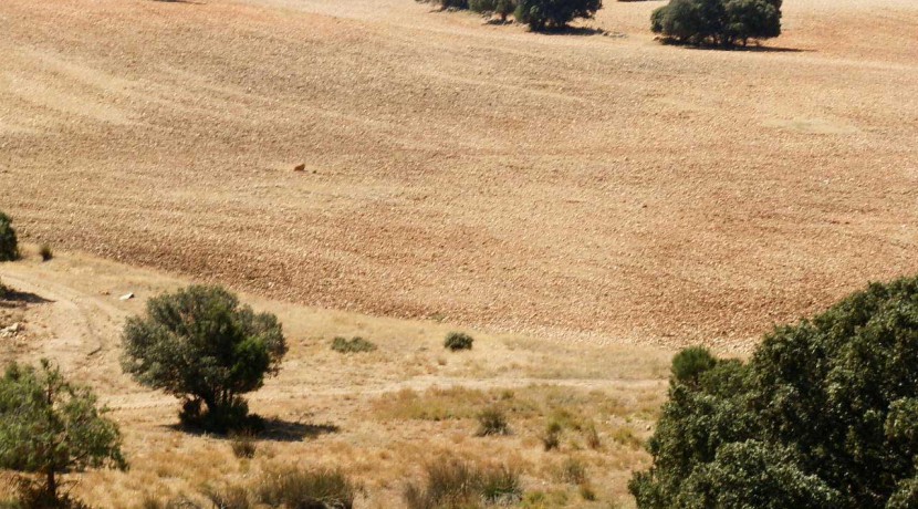 406_fincas-en-venta-006