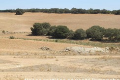 406_fincas-en-venta-010