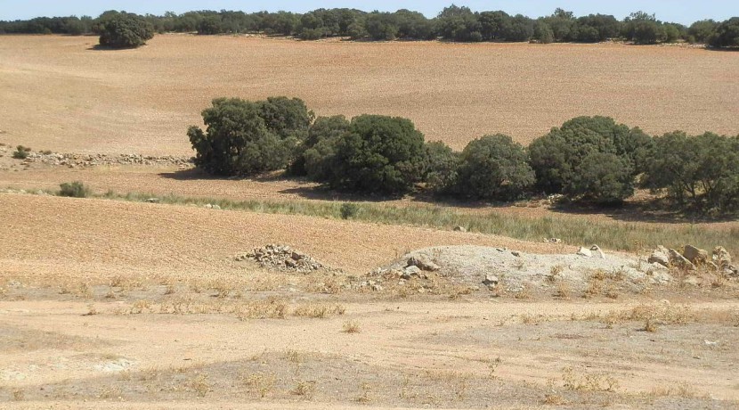 406_fincas-en-venta-010