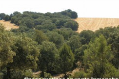 406_fincas-en-venta-013