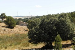 406_fincas-en-venta-015