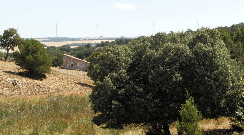 406_fincas-en-venta-015
