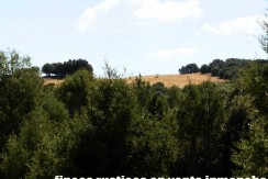 406_fincas-en-venta-016