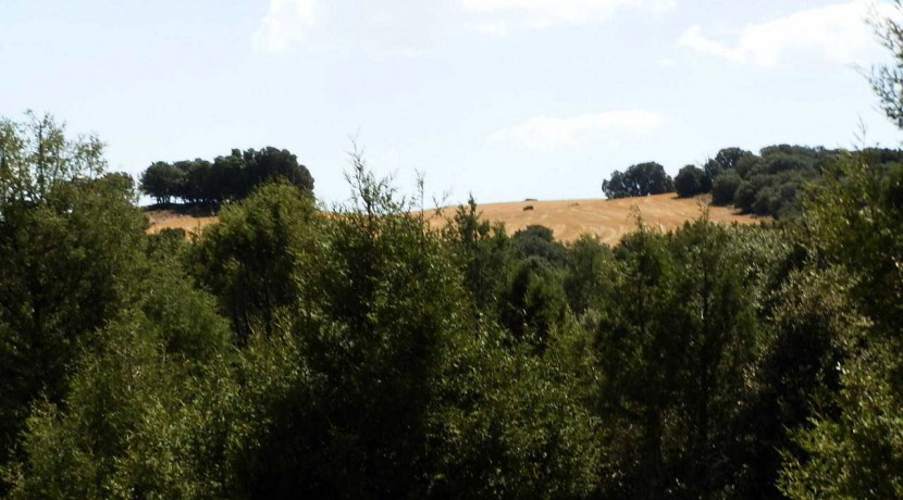 406_fincas-en-venta-016