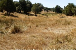 406_fincas-en-venta-018