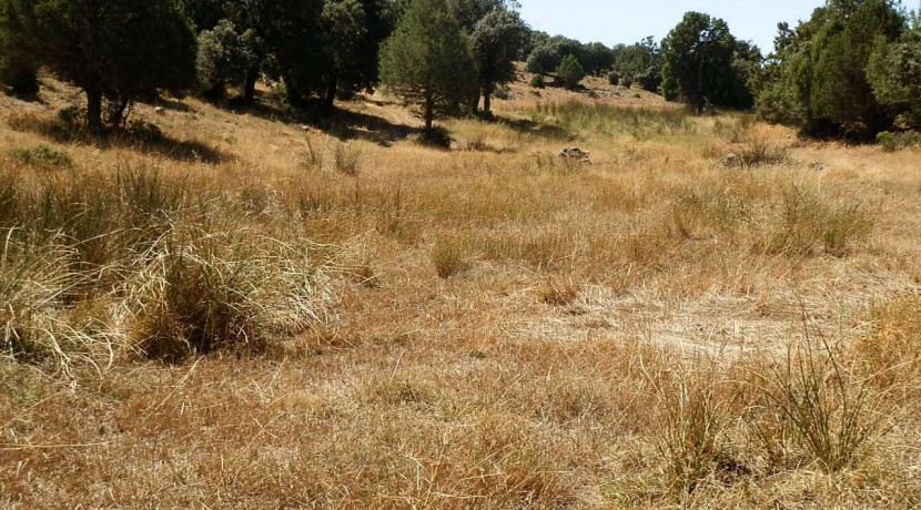 406_fincas-en-venta-018