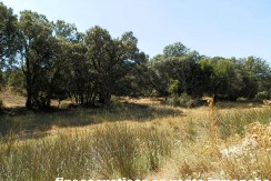 406_fincas-en-venta-022