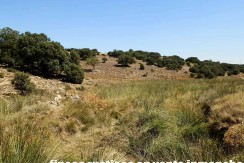 406_fincas-en-venta-023