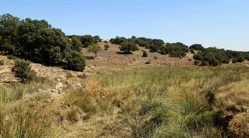 406_fincas-en-venta-023