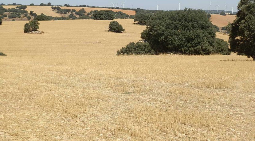 406_fincas-en-venta-030