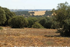 406_fincas-en-venta-034