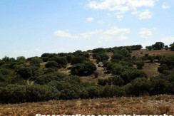 406_fincas-en-venta-044