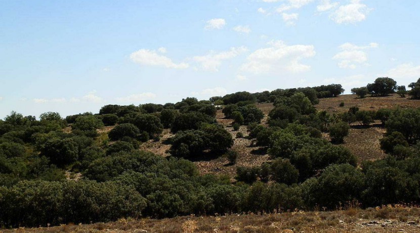 406_fincas-en-venta-044