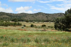 429_fincas-en-venta-18