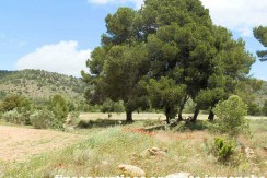 429_fincas-en-venta-27