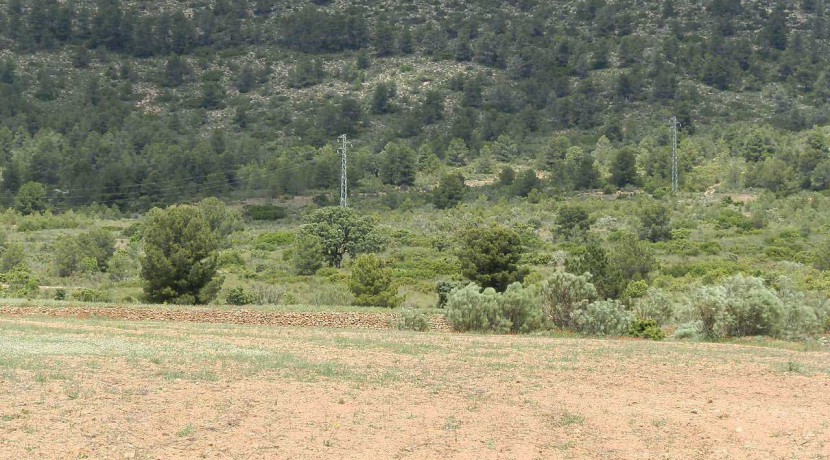429_fincas-en-venta-28