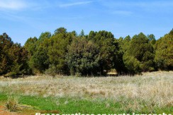 430_fincas-en-venta-080