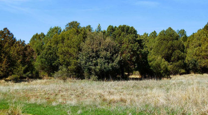 430_fincas-en-venta-080