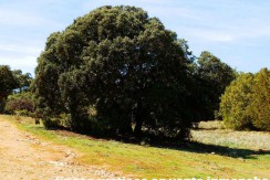 430_fincas-en-venta-081