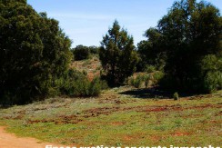 430_fincas-en-venta-082