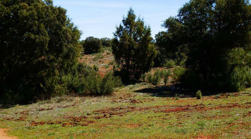 430_fincas-en-venta-082