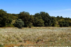 430_fincas-en-venta-083