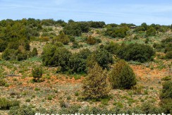 430_fincas-en-venta-090