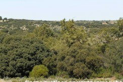 430_fincas-en-venta-097