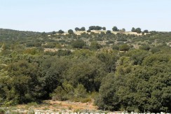430_fincas-en-venta-099