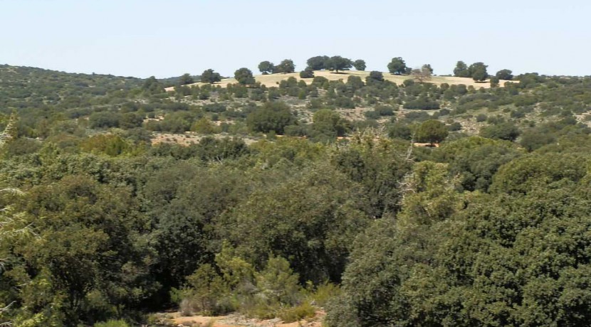 430_fincas-en-venta-099