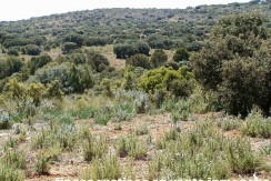 430_fincas-en-venta-104