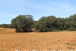 430_fincas-en-venta-107