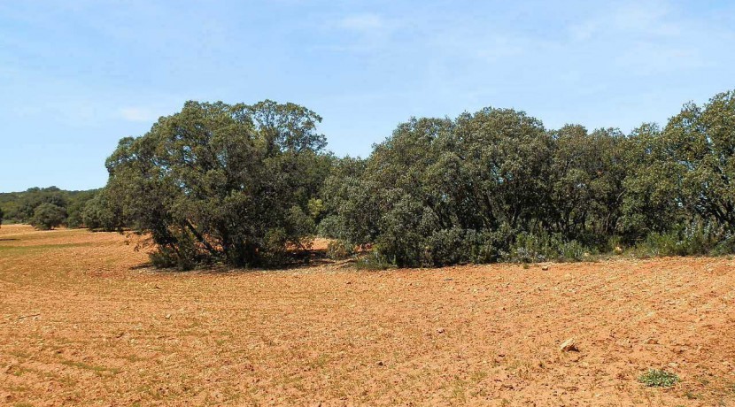 430_fincas-en-venta-107