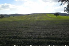 456_fincas-en-venta-06