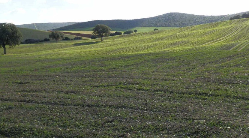 456_fincas-en-venta-07