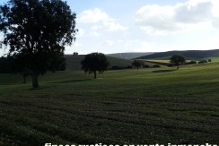 456_fincas-en-venta-08